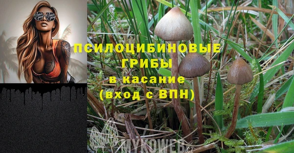 сатива Балабаново