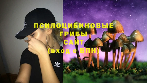 сатива Балабаново