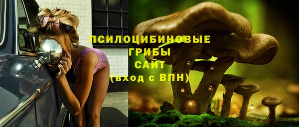 сатива Балабаново